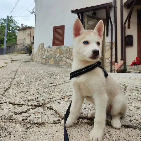 بيت للعطل Casa Maja -